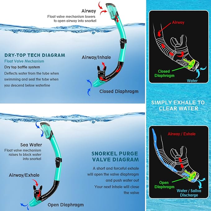 ZEEPORTE Mask Fin Snorkel Set, Travel Size Snorkeling Gear for Adults with Panoramic View Anti-Fog Mask, Trek Fins, Dry Top Snorkel and Gear Bag for Swimming Training, Snorkeling Kit Diving Packages-StrideForce Fitness