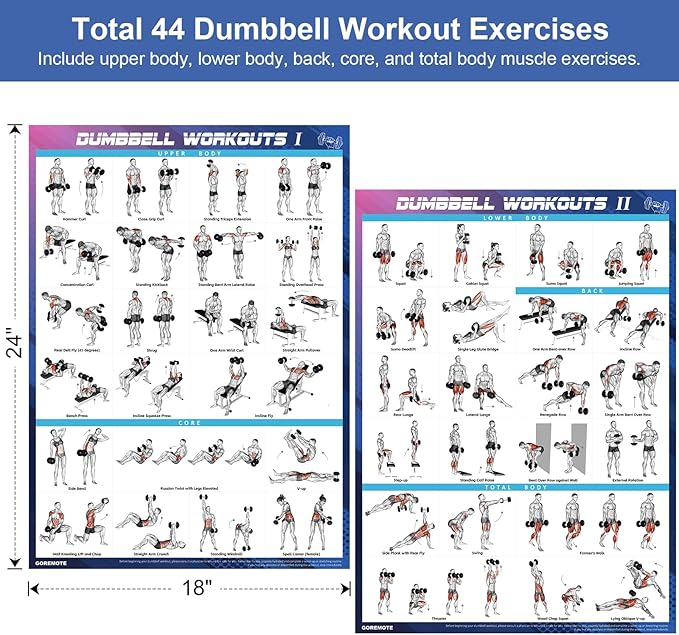 Dumbbell Workout Poster Set (2 Pack) - Workout Charts for Home Gym, Volume I & II - 18" x 24" with Enlarged Dumbbell Exercise Illustrations-StrideForce Fitness