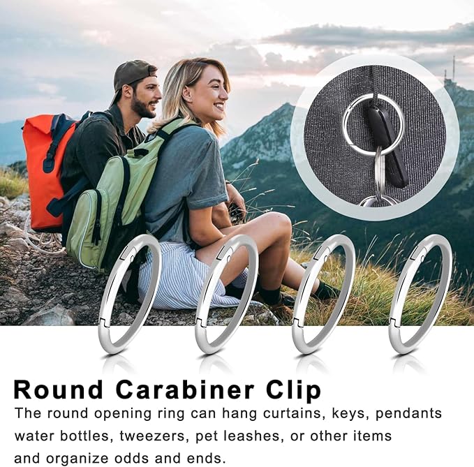 10Pack 2" Large Round Carabiner Clips, Metal Spring O Rings for Organizer Key Rings, Paracord Keychain Lanyard, Pet Chains, Purse Hardware, Key Snap Hooks DIY Accessory (Silver)-StrideForce Fitness