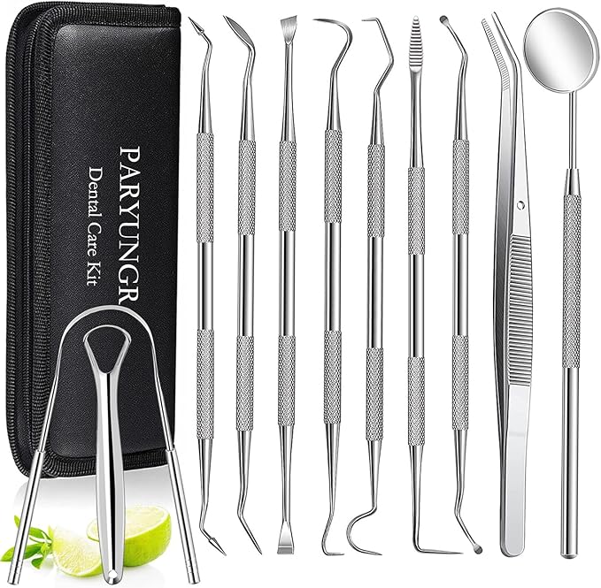 11 Pack Dental Tools PARYUNGR Teeth Cleaning Tool Kit, Stainless Steel Tongue Scraper Tartar Plaque Remover Tooth Cleaner Dental Floss Picks Mouth Mirror, Professional Oral Care Hygiene Set with Case