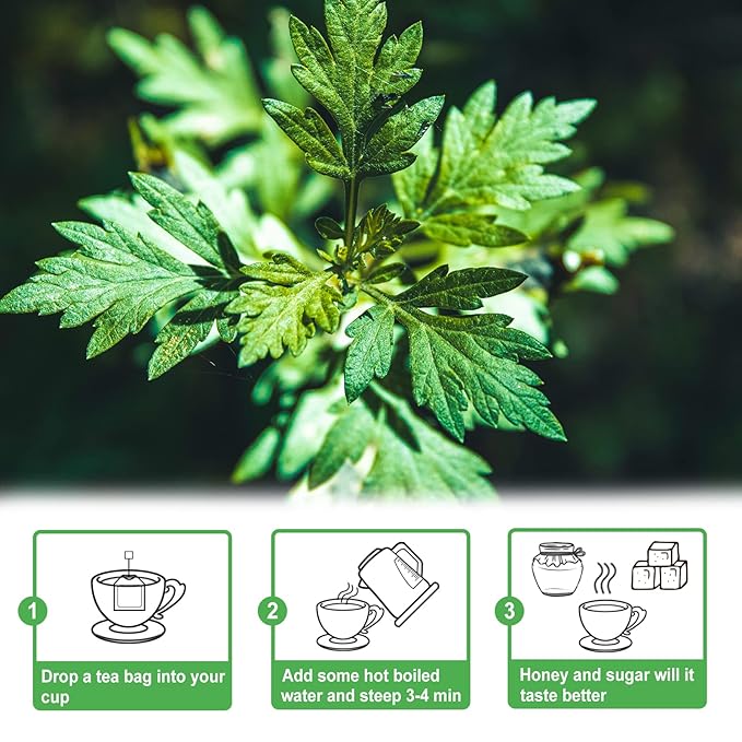 TEARELAE - Mugwort Tea - 2g x 30 Count - 100% Pure Natural Dried Herbs - Premium Mugwort Herb Dried - Non-GMO - Sulfur-free-StrideForce Fitness