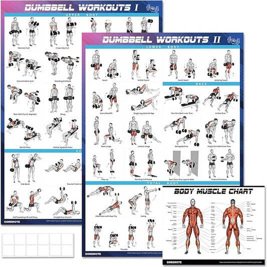 Dumbbell Workout Poster Set (2 Pack) - Workout Charts for Home Gym, Volume I & II - 18" x 24" with Enlarged Dumbbell Exercise Illustrations-StrideForce Fitness
