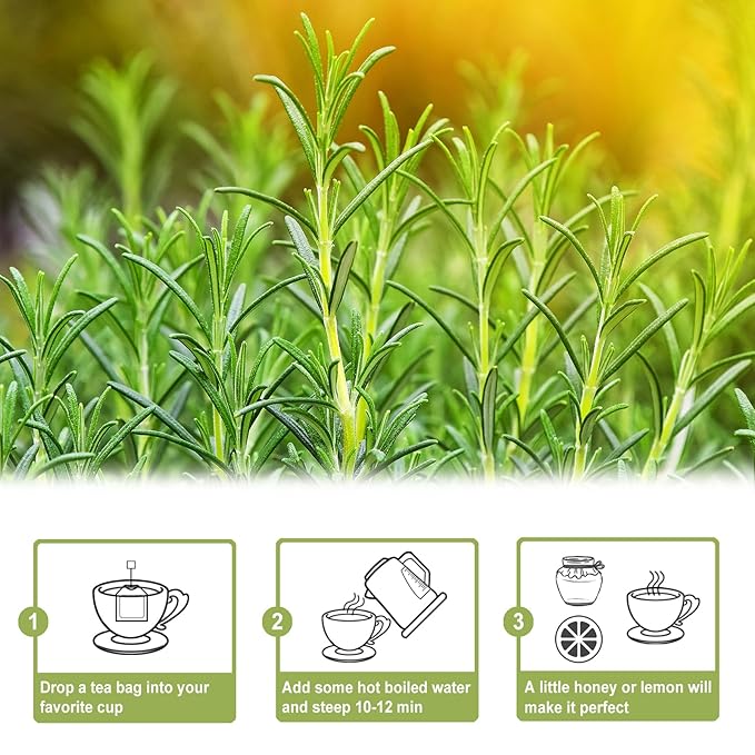 TEARELAE - Rosemary Tea - 1.5g x 50 Count - 100% Pure Rosemary Leaves Tea Bag - Country of Origin Egypt - Aid Digestion & Support Respiratory Health-StrideForce Fitness