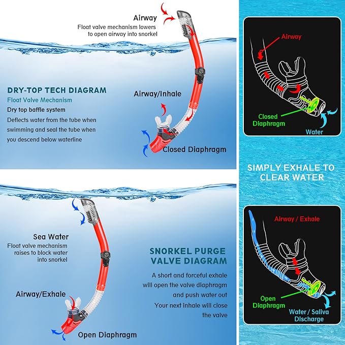 ZEEPORTE Mask Fin Snorkel Set, Travel Size Snorkeling Gear for Adults with Panoramic View Anti-Fog Mask, Trek Fins, Dry Top Snorkel and Gear Bag for Swimming Training, Snorkeling Kit Diving Packages-StrideForce Fitness