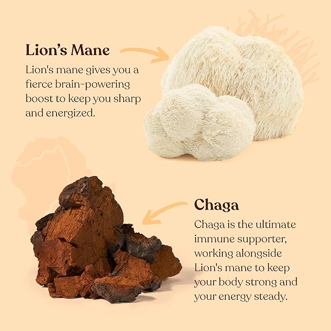 Four Sigmatic Focus Mushroom Coffee | Organic Ground Coffee with Lion's Mane Mushroom and Chaga for Better Focus and Immune Support | 12oz Bag-StrideForce Fitness