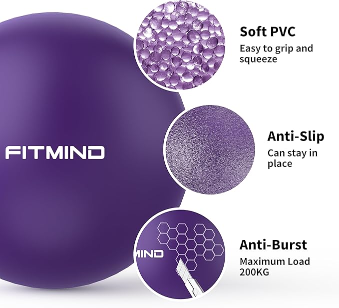 Pilates Ball - 10 Inch Core Ball for Yoga, Stability, Fitness, Ab & Core Workout, Physical Therapy-StrideForce Fitness