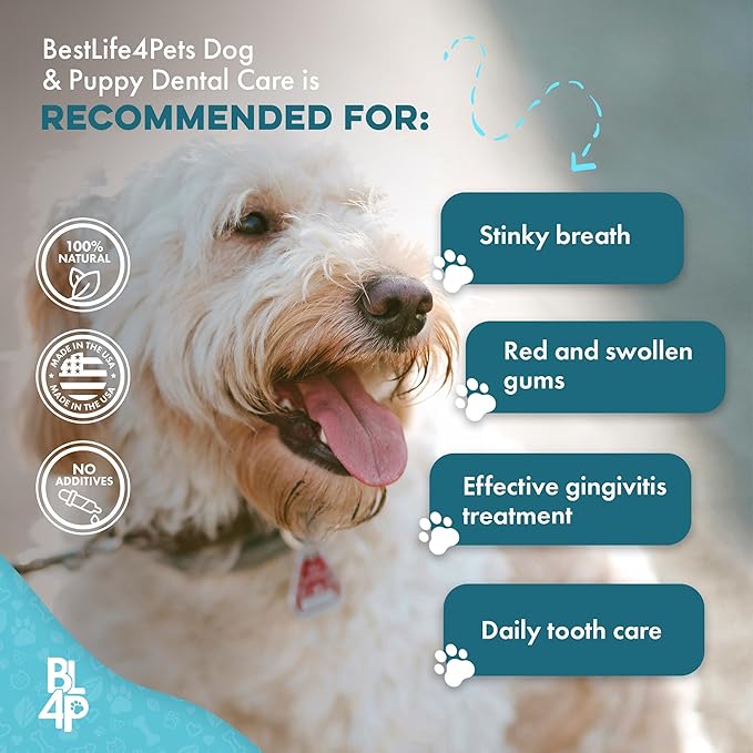 Dog Bad Breath & Dental Care Solution, Supports Canine Oral Health, Relieves Stinky Breath, Tooth Pain, Red Swollen Gums, Helps Reduce Plaque and Gingivitis, 400 Odorless, Tasteless Easy to Use Pills