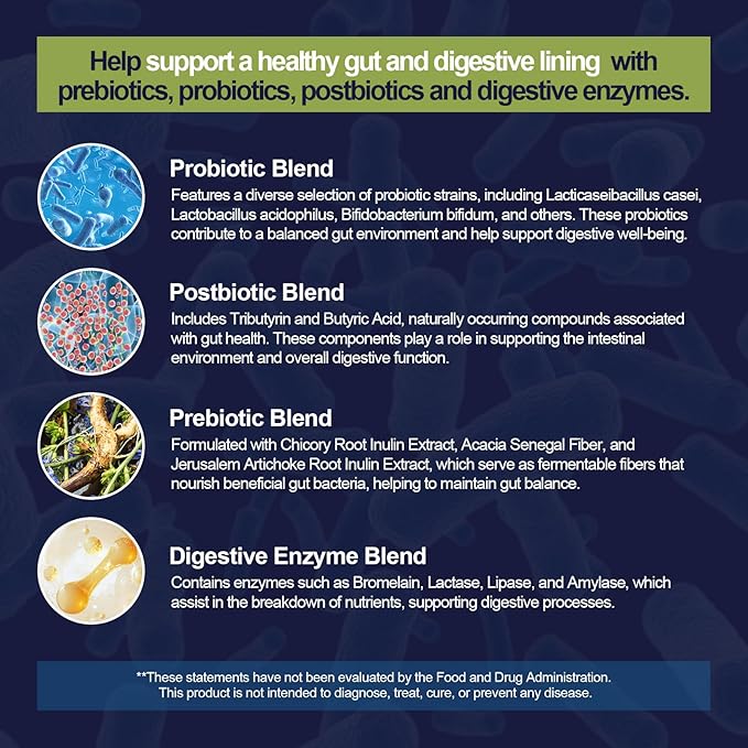 Probiotics for Digestive Health, 80 Billion CFU Probiotics, Prebiotics, Postbiotics & Digestive Enzymes, Gut Health Capsules with Berberine, Cinnamon, L-Glutamine, for Men & Women, 240 Counts-StrideForce Fitness