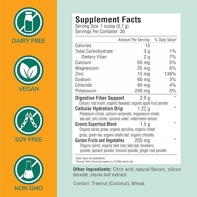 COUNTRY FARMS Refreshers, Super Greens and Electrolytes, Essential Minerals and Superfoods, Hydration Support, Promotes Natural Energy, with Fiber, Piña Colada, 30 Servings-StrideForce Fitness
