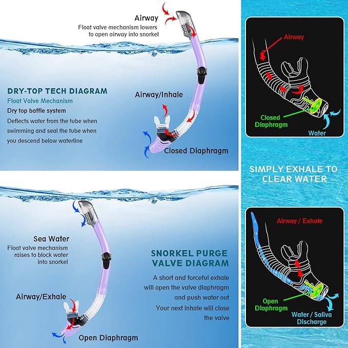 ZEEPORTE Mask Fin Snorkel Set, Travel Size Snorkeling Gear for Adults with Panoramic View Anti-Fog Mask, Trek Fins, Dry Top Snorkel and Gear Bag for Swimming Training, Snorkeling Kit Diving Packages-StrideForce Fitness