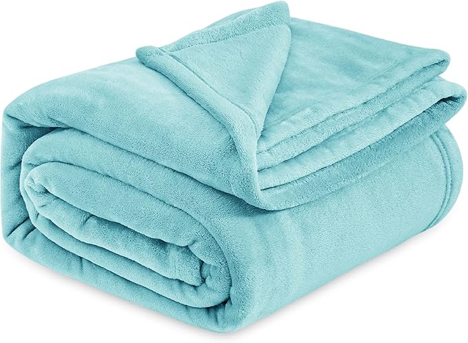 Bedsure Fleece Bed Blankets Queen Size River Blue - Soft Lightweight Plush Fuzzy Cozy Luxury Blanket Microfiber, 90x90 inches-StrideForce Fitness
