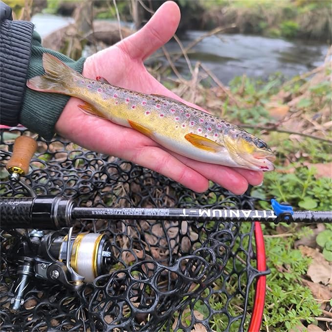 PURELURE Titanium-T Ultralight Fishing Rod Spinning & Casting for Trout Panfish, Carbon Fiber BFS Rod 2Pcs, Titanium Tip & Guides, Cork Handle, 5-6ft Stream Rod XUL Power, Fast/Moderate Fast Action-StrideForce Fitness