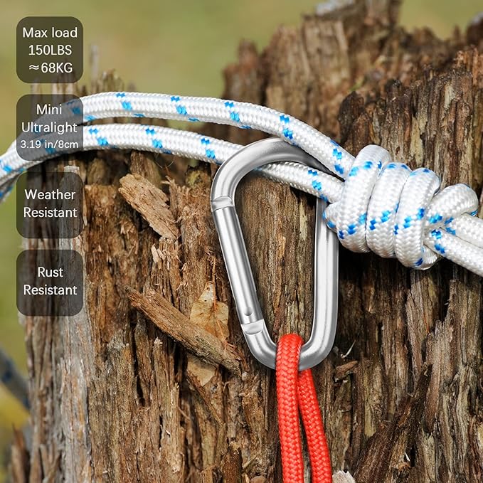 sprookber 3" Aluminum Carabiner D Ring, Caribeener Clips, Spring Snap Hook for Keychain Clip, Set of 10-StrideForce Fitness