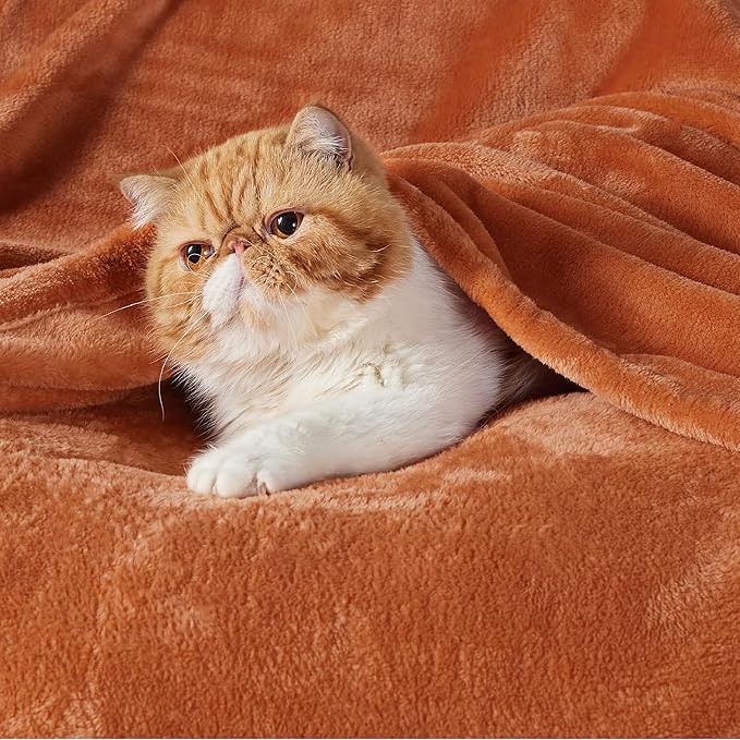 Bedsure Burnt Orange Fleece Blanket King Size - 280GSM Soft Lightweight Plush Cozy Blankets for Bed, Sofa, Couch, Travel, Camping-StrideForce Fitness