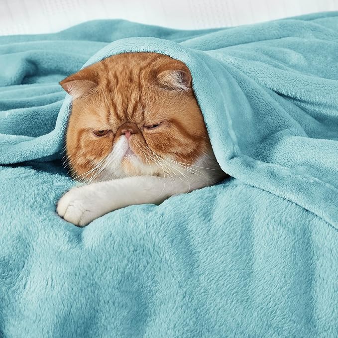 Bedsure Fleece King Size Blankets for Bed River Blue - Soft Lightweight Plush Cozy Fuzzy Luxury Microfiber, 108x90 inches-StrideForce Fitness