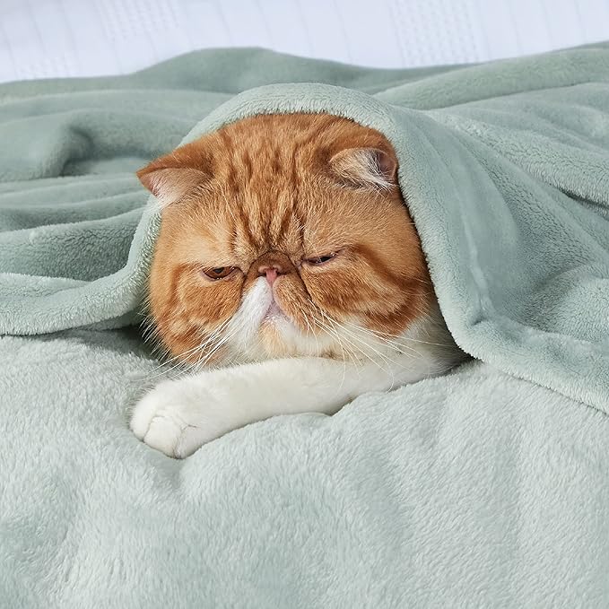 Bedsure Sage Green Fleece Blankets Queen Size - 280GSM Soft Lightweight Plush Cozy Blanket for Bed, Sofa, Couch, Travel, Camping-StrideForce Fitness