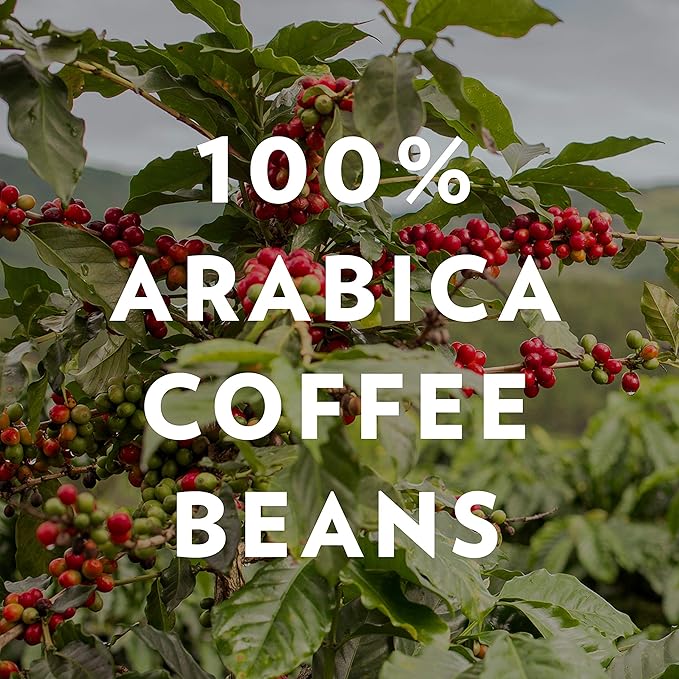 Community Coffee Signature Blend, 64 Ounces Ground Coffee, Dark Roast, 32 Ounce Bag (Pack of 2)-StrideForce Fitness