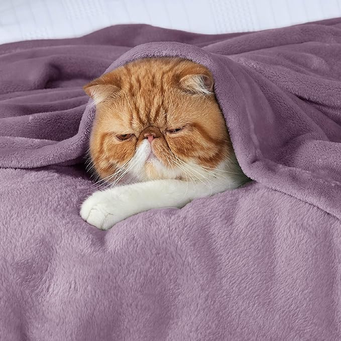 Bedsure Fleece King Size Blankets for Bed Fog Purple - Soft Lightweight Plush Cozy Fuzzy Luxury Microfiber, 108x90 inches-StrideForce Fitness