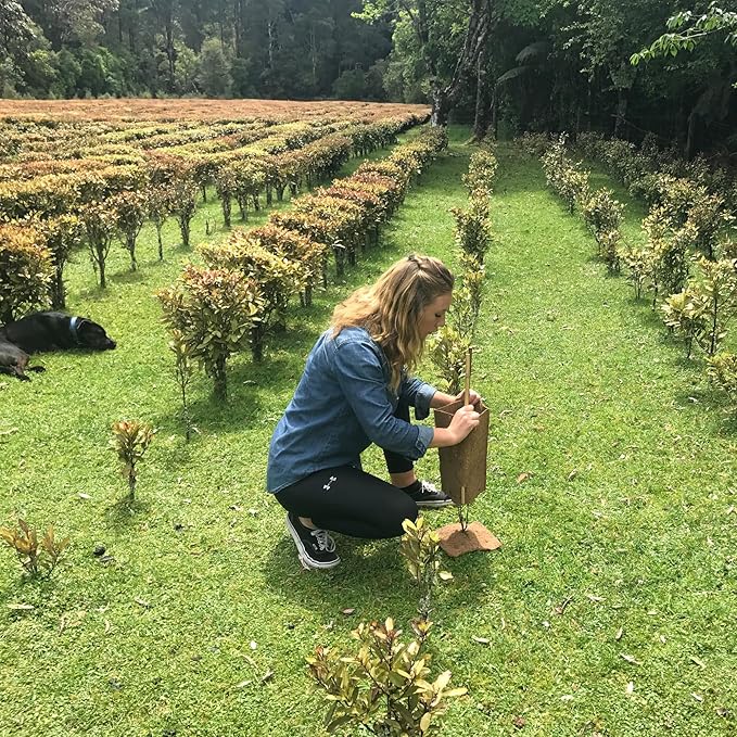 Kolorex Gut Care Candida Balance (Advanced Candida Care) 60ct-StrideForce Fitness