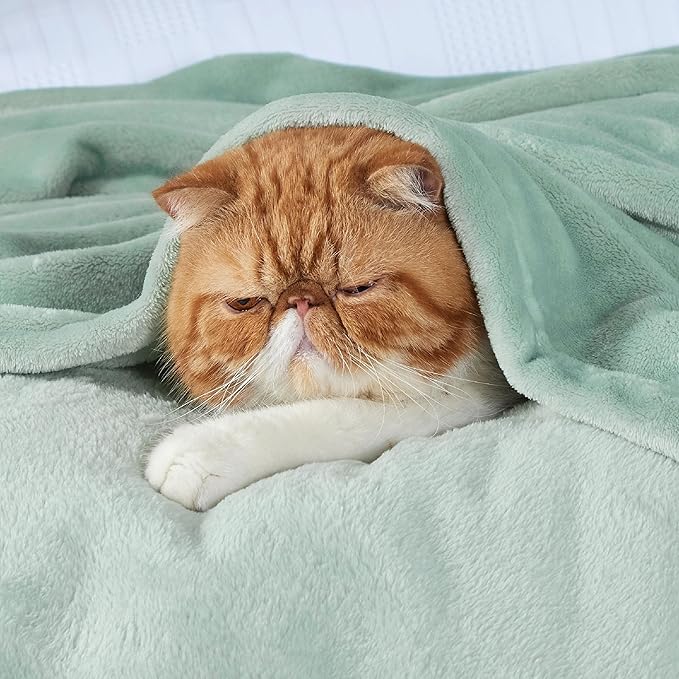 Bedsure Sage Green Fleece Throw Blanket - 300GSM Soft Lightweight Plush Cozy Blankets for Bed, Sofa, Couch, Travel, Camping-StrideForce Fitness