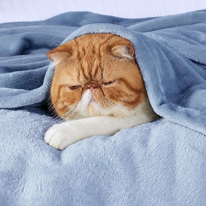 Bedsure Bedding Fleece Blanket for Girls and Boys - Soft Cozy Cute Small Throw Blankets for Travel, 43x55 Inches, Washed Blue-StrideForce Fitness