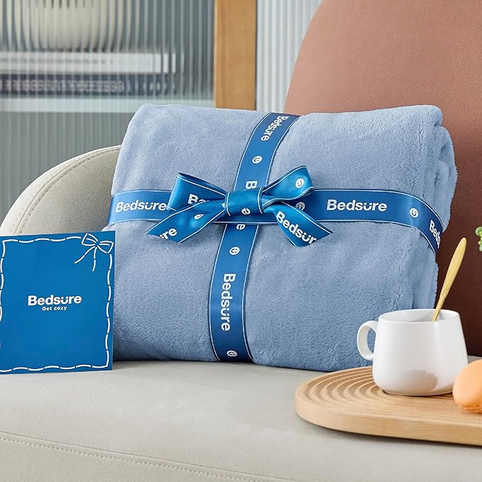 Bedsure Fleece Bed Blankets Queen Size Light Blue - Soft Lightweight Plush Fuzzy Cozy Luxury Blanket Microfiber, 90x90 inches-StrideForce Fitness