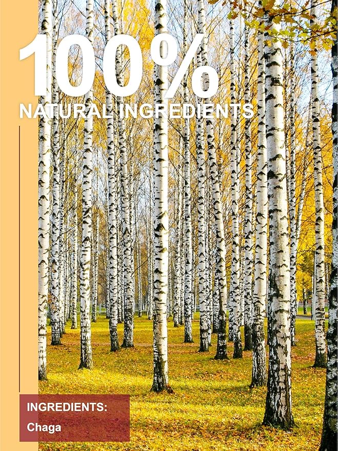 TeeLux Chaga Tea Bags, Pure & Natural Chaga Mushroom Tea, Smooth Flavor, Caffeine Free, 100 Count