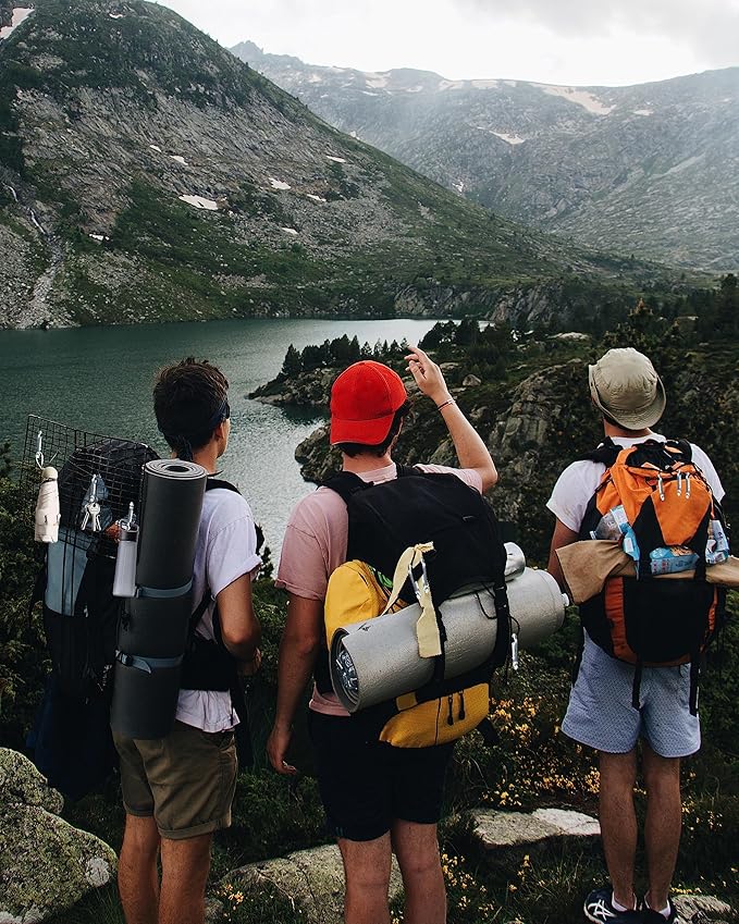 Small Carabiner Clip, 30pcs 1.57inch Mini Carabiners Clips, M4 Stainless Steel Spring Snap Hook Heavy Duty, Locking Carribenares for Climbing Hiking Camping Fishing-StrideForce Fitness