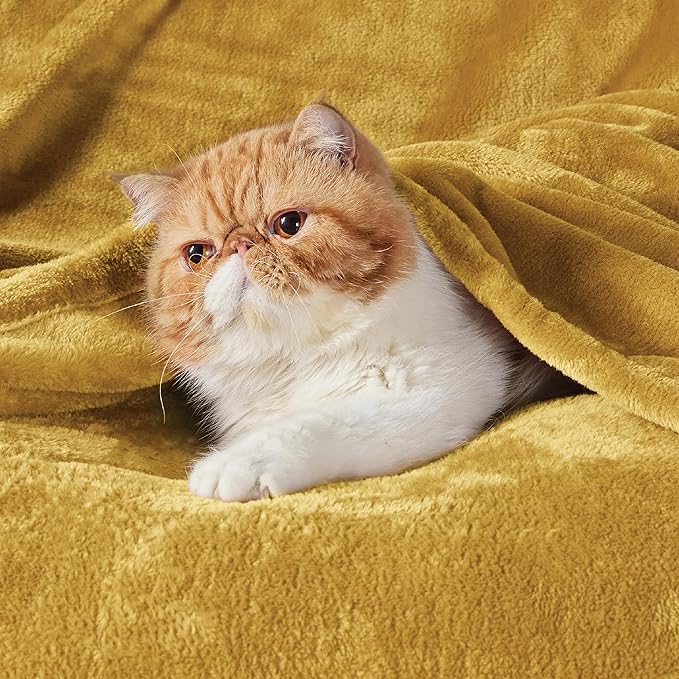 Bedsure Fleece Blanket Queen Blanket Gold Yellow - Bed Blanket Soft Lightweight Plush Fuzzy Cozy Luxury Microfiber, 90x90 inches-StrideForce Fitness