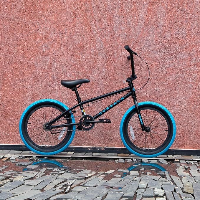Freestyle BMX Bike, 18 20 Inch Kids Bicycle for 5-13 Years Old Kids and Beginner Level Rider, Multiple Colors-StrideForce Fitness