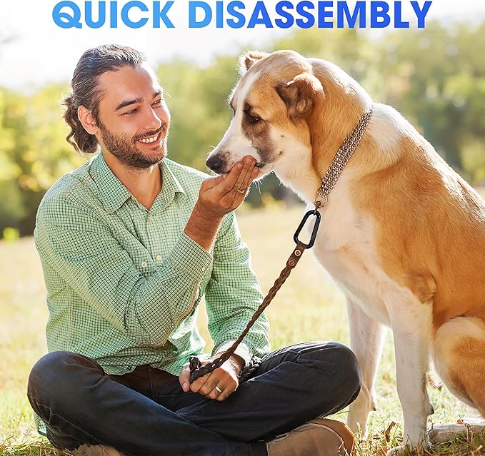 Heavy Duty Carabiner Clip, Steel Carabiners 1100lbs 3" D Shaped Spring Hook Small Clips for Hammocks, Hiking, Keychains, Outdoors and Gym, Dog Leash and Key Ring-StrideForce Fitness