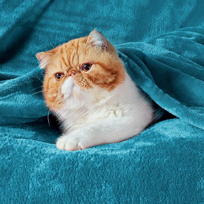 Bedsure Fleece Blanket Twin Size Teal - 300GSM Lightweight Plush Fuzzy Cozy Soft Warm Blanket for Bed, Sofa, Couch, Travel, Camping, 60x80 inches-StrideForce Fitness