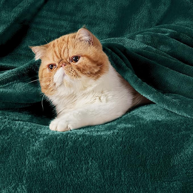 Bedsure Fleece Blankets King Size Emerald Green - Bed Blanket Soft Lightweight Plush Cozy Fuzzy Luxury Microfiber, 108x90 inches-StrideForce Fitness