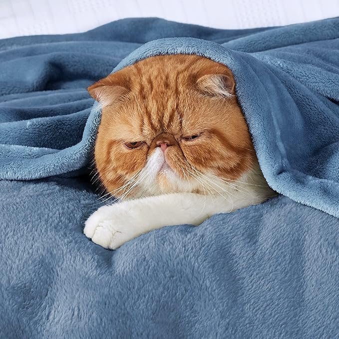 Bedsure Fleece Blankets King Size Washed Blue - Bed Blanket Soft Lightweight Plush Cozy Fuzzy Luxury Microfiber, 108x90 inches-StrideForce Fitness