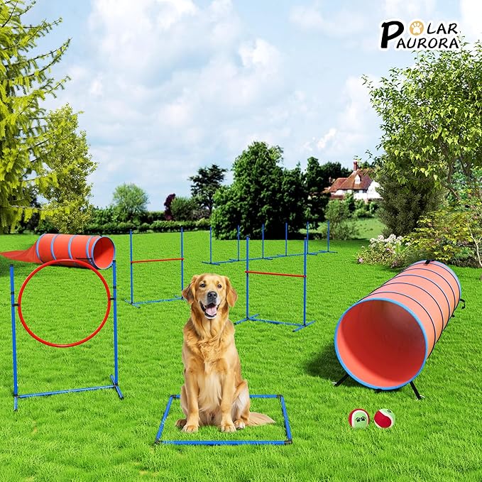 Dog Agility Training Equipment Set, Obstacle Courses Agility Training Kit for Puppy Includes 2 High Hurdles, Standard Tunnel, Blind Tunnel, Jumping Ring, 6 Weave Poles, Pause Box and 2 Carrying Bags-StrideForce Fitness