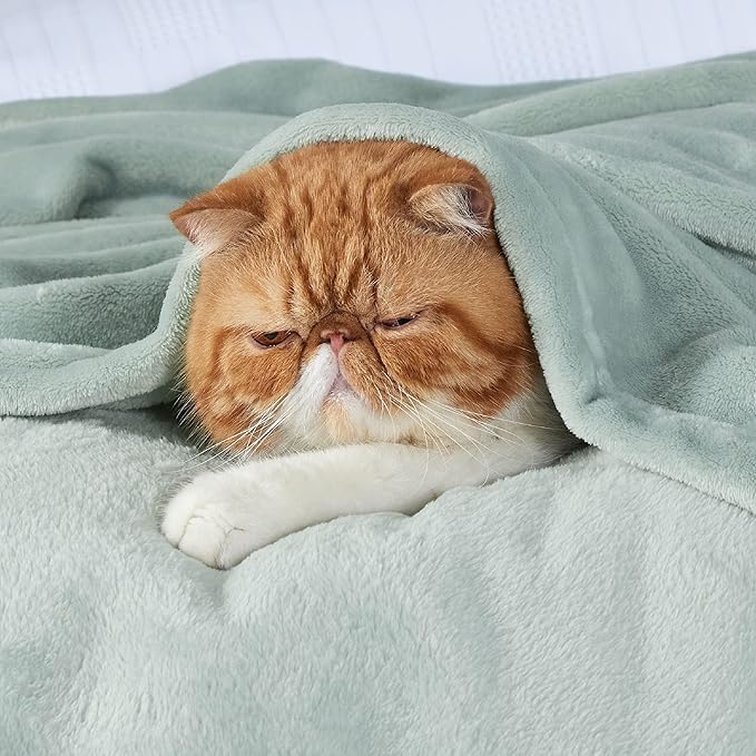 Bedsure Fleece Bed Blankets Full Size Sage Green - Soft Lightweight Plush Fuzzy Cozy Luxury Blanket Microfiber, 84x90 inches-StrideForce Fitness