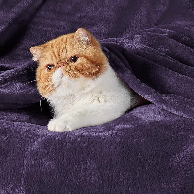 Bedsure Fleece Throw XL Blanket Purple - 300GSM Soft Lightweight Plush Cozy Blankets for Bed, Sofa, Couch, Travel, Camping, 50x70 inches-StrideForce Fitness