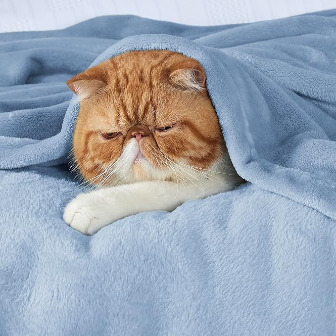 Bedsure Twin XL Fleece Blanket Dorm Bedding - Lightweight Soft Cozy Blankets for Bed, Sofa, Couch, Travel, Camping, Light Blue, 66"x90"-StrideForce Fitness