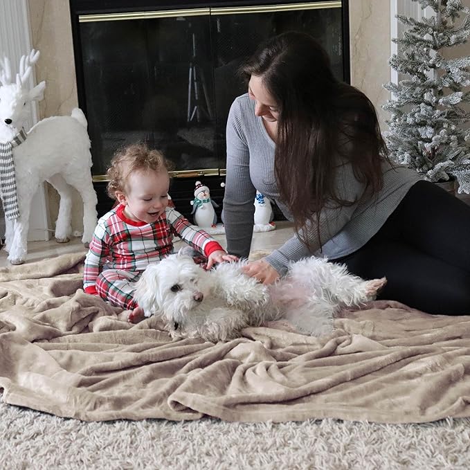 Bedsure Fleece Bed Blankets Queen Size Oxford Tan - Soft Lightweight Plush Fuzzy Cozy Luxury Blanket Microfiber, 90x90 inches-StrideForce Fitness