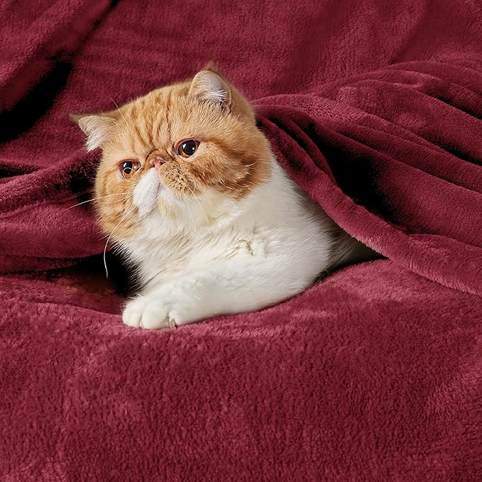 Bedsure Fleece Blankets King Size Burgundy - Bed Blanket Soft Lightweight Plush Cozy Fuzzy Luxury Microfiber, 108x90 inches-StrideForce Fitness