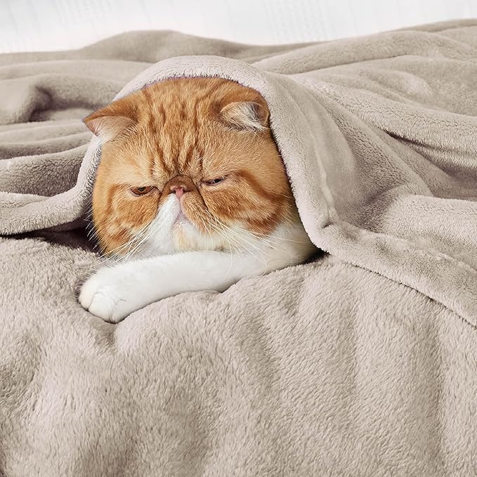 Bedsure Fleece Bed Blankets Queen Size Oxford Tan - Soft Lightweight Plush Fuzzy Cozy Luxury Blanket Microfiber, 90x90 inches-StrideForce Fitness