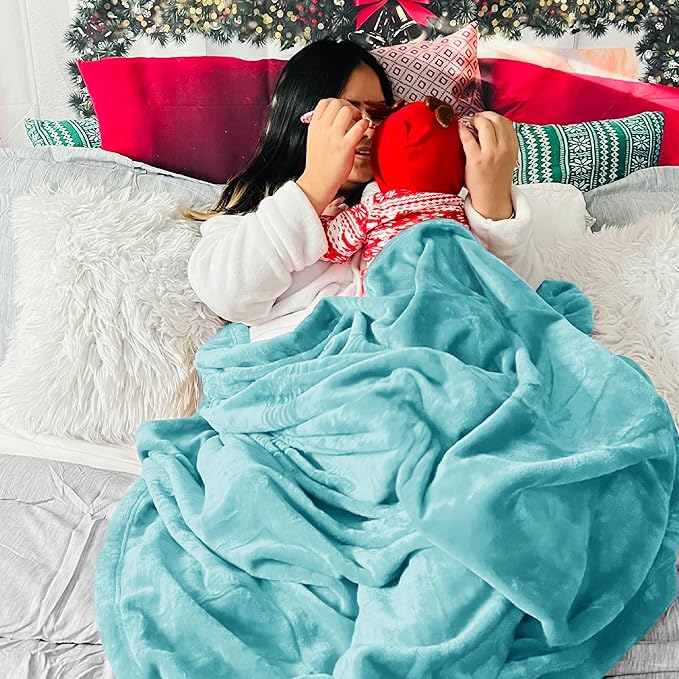 Bedsure Fleece Bed Blankets Queen Size River Blue - Soft Lightweight Plush Fuzzy Cozy Luxury Blanket Microfiber, 90x90 inches-StrideForce Fitness